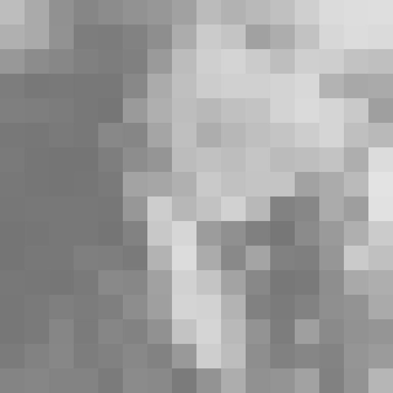 Lita, 32, Gravata