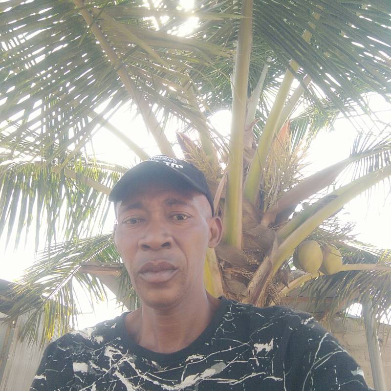 Henry Ufomadu, 55, Champlin