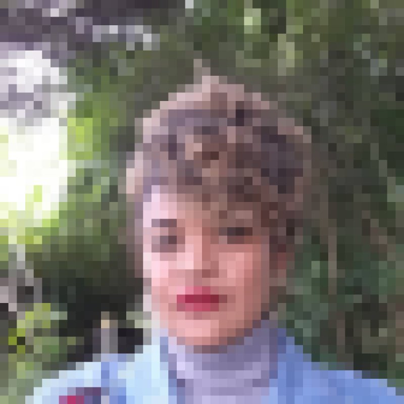 Layla Salama, 48, Kadaiyanallr