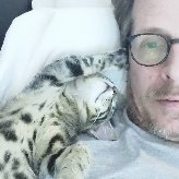 Alexandre, 52, Downers Grove