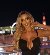 Sophia love, 33, Saintefoylslyon