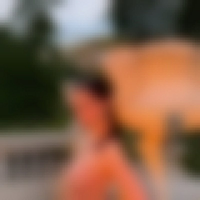 Victoria, 25, Sa Pa