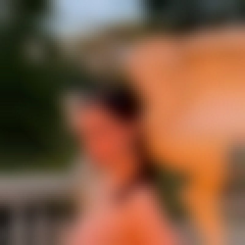 Victoria, 25, Padaivedu