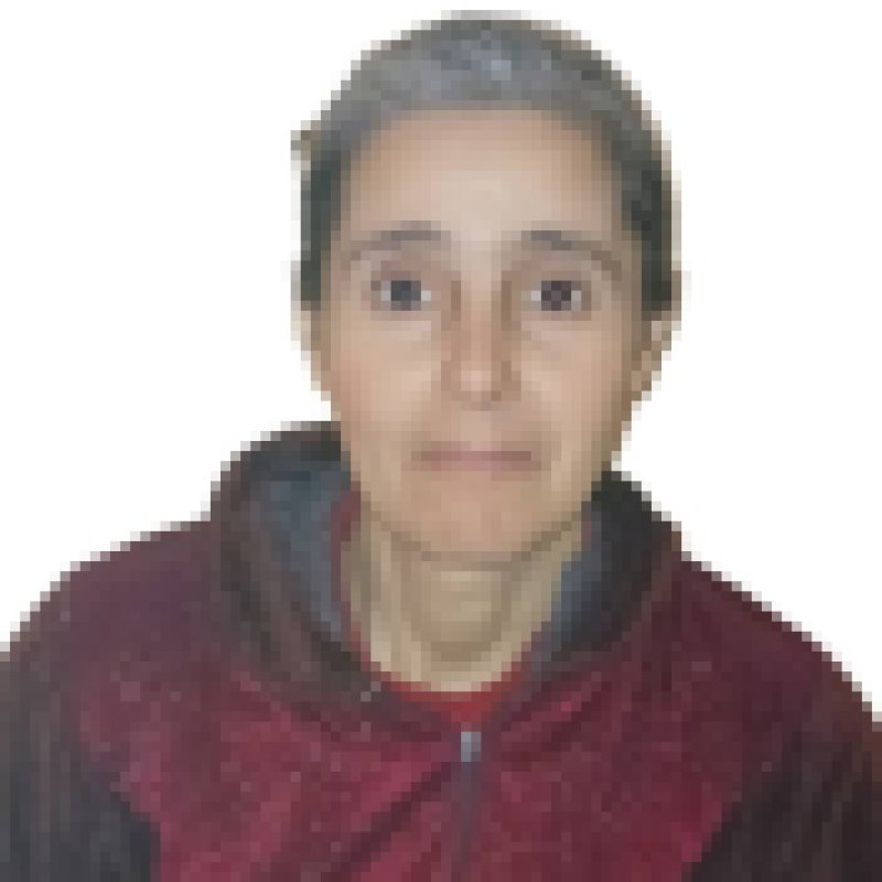 fatiha daoudi, 47, India
