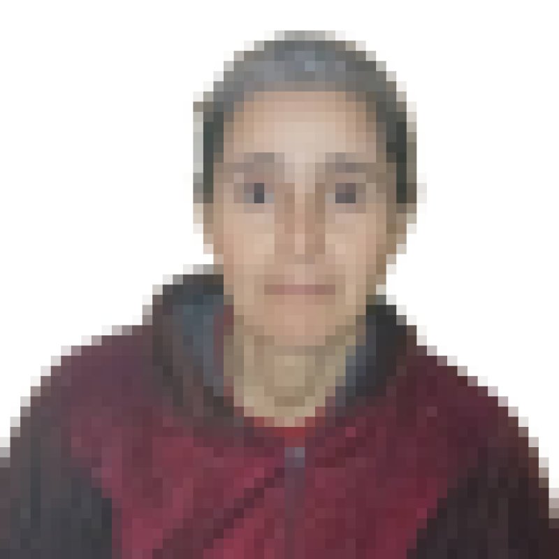 fatiha daoudi, 47, Avigliana