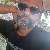 Shohag, 35, Novara