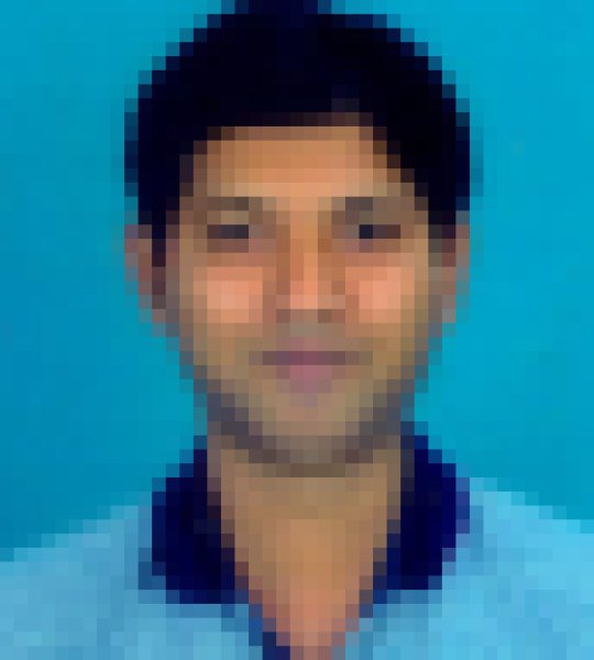 swarup, 40, Shuzenji