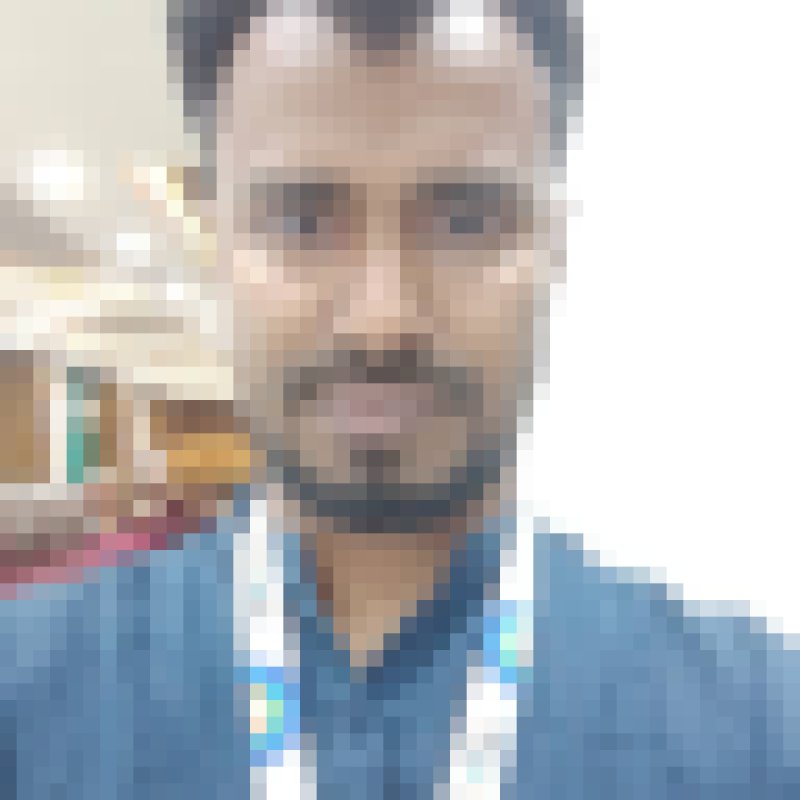 Hasan Rizvi, 35, Austria