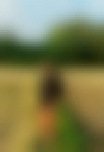 Mamun, 27, Purulia