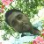 Sahidul Islam, 35, Alagoinha