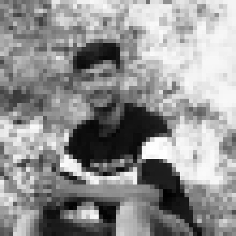 Tuhin hasan, 24, Lamont