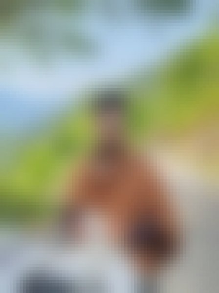 Shuvo, 23, Venkatagirikota