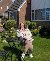 Holz, 51, Mirante