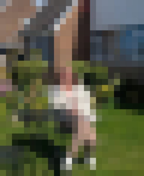 Holz, 51, Togo