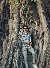 Riyad, 22, Parthenay