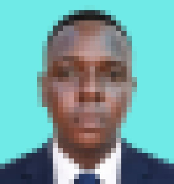 Newton, 27, Noshiromachi
