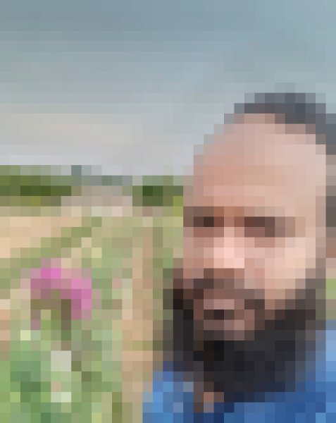 RASEL, 35, Mhnesee