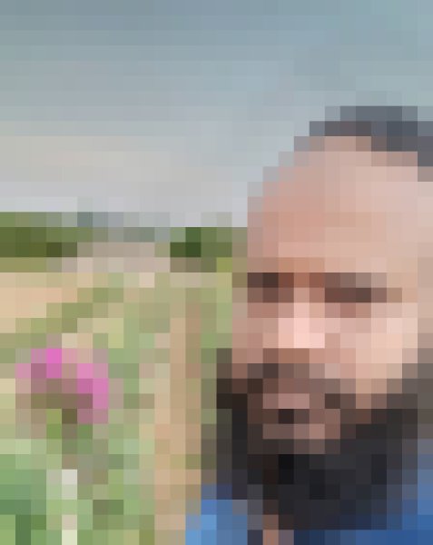 RASEL, 35, France