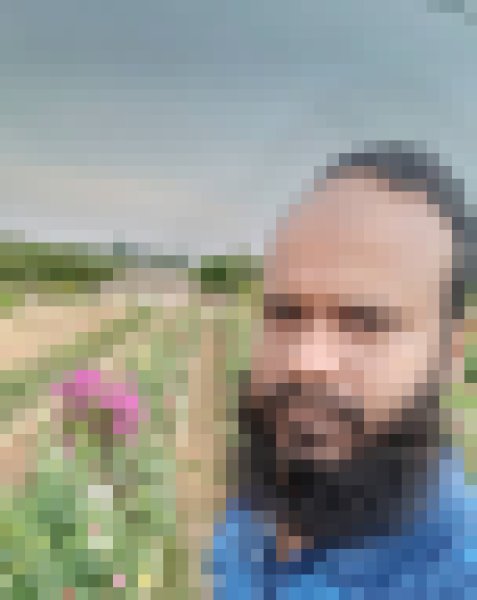 RASEL, 35, Querfurt