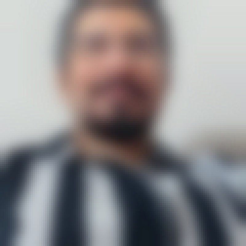 Zagrosbi, 35, Castellarano