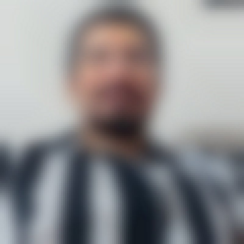 Zagrosbi, 35, Maurilndia