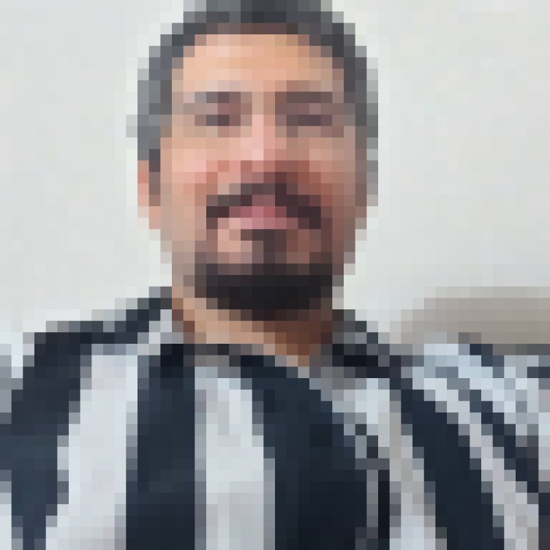 Zagrosbi, 35, Shuzenji