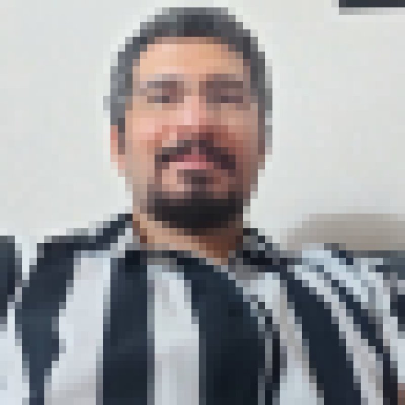 Zagrosbi, 35, Gravata