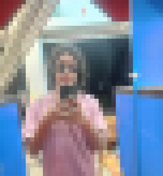 Pallab Roy, 19, Meroina