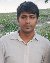 Md nasir, 35, Guelpheramosa
