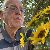 Peter, 67, East Whiteland