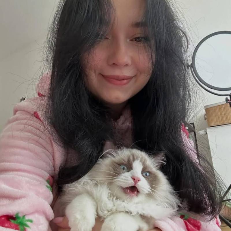 BellaKim77767 dating